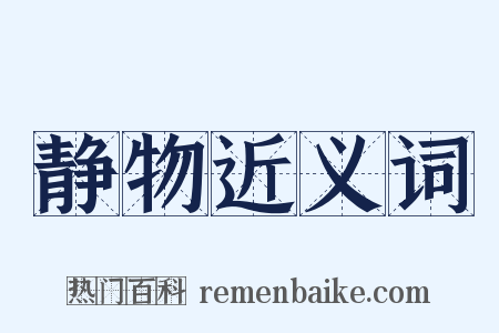 静物近义词是什么意思的图片
